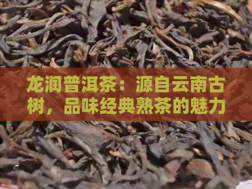 龙润普洱茶：源自云南古树，品味经典熟茶的魅力