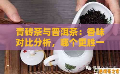 青砖茶与普洱茶：香味对比分析，哪个更胜一筹？