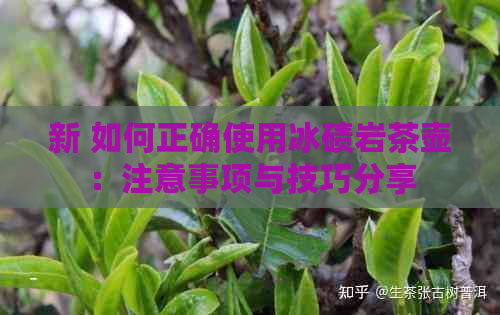 新 如何正确使用冰碛岩茶壶：注意事项与技巧分享