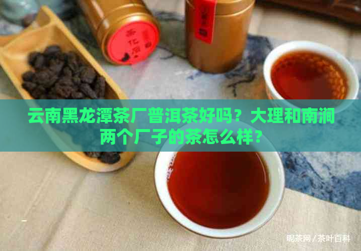 云南黑龙潭茶厂普洱茶好吗？大理和南涧两个厂子的茶怎么样？