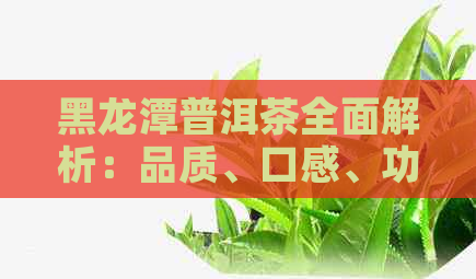 黑龙潭普洱茶全面解析：品质、口感、功效、泡法及购买建议