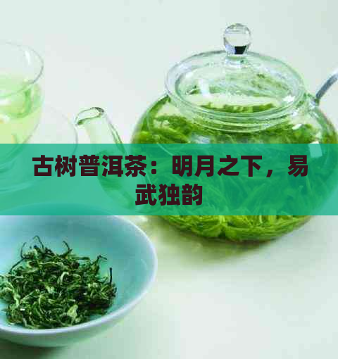 古树普洱茶：明月之下，易武独韵