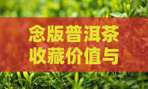 念版普洱茶收藏价值与特点解析：2007、2019年各年份普洱茶念饼详细介绍