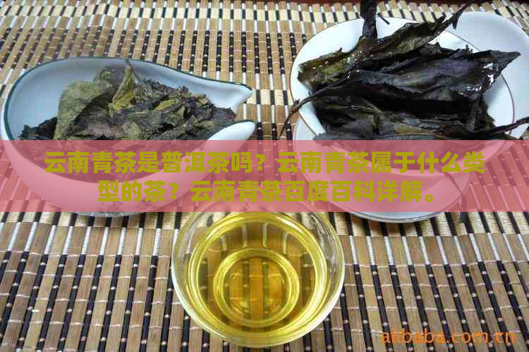 云南青茶是普洱茶吗？云南青茶属于什么类型的茶？云南青茶百度百科详解。