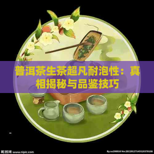 普洱茶生茶超凡耐泡性：真相揭秘与品鉴技巧