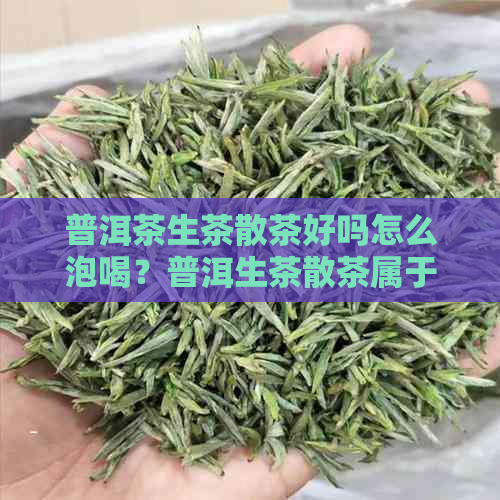 普洱茶生茶散茶好吗怎么泡喝？普洱生茶散茶属于什么茶类？