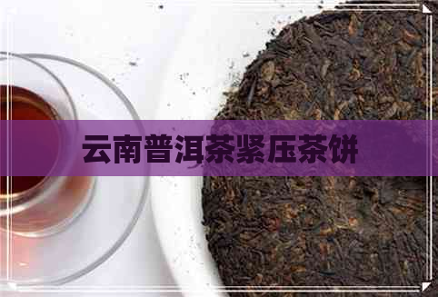 云南普洱茶紧压茶饼