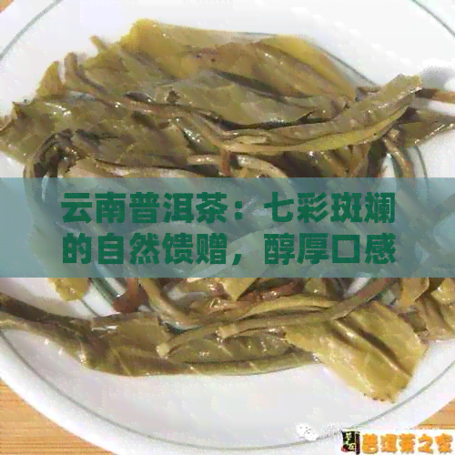 云南普洱茶：七彩斑斓的自然馈赠，醇厚口感与健生活的完美融合