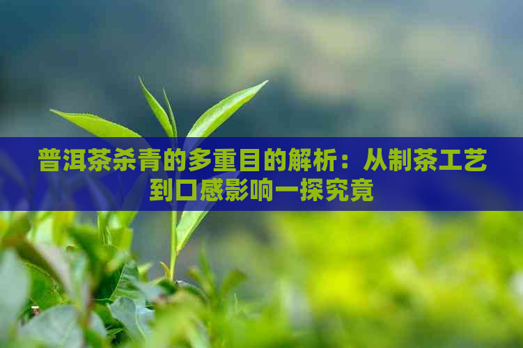 普洱茶杀青的多重目的解析：从制茶工艺到口感影响一探究竟