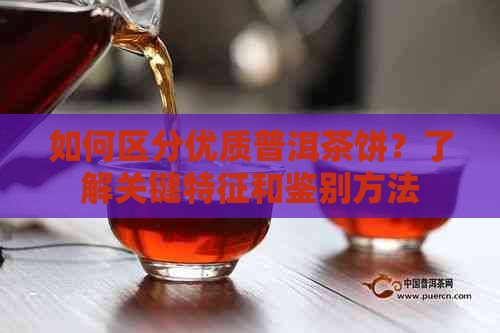 如何区分优质普洱茶饼？了解关键特征和鉴别方法