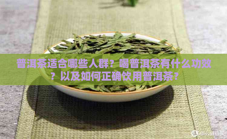 普洱茶适合哪些人群？喝普洱茶有什么功效？以及如何正确饮用普洱茶？