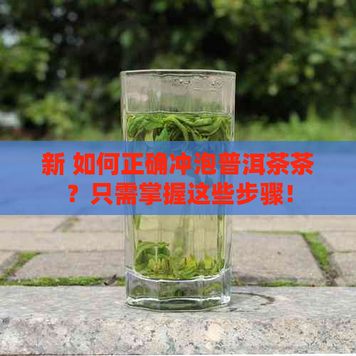 新 如何正确冲泡普洱茶茶？只需掌握这些步骤！