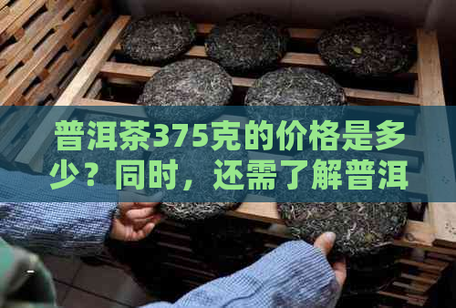 普洱茶375克的价格是多少？同时，还需了解普洱茶的其他相关信息。