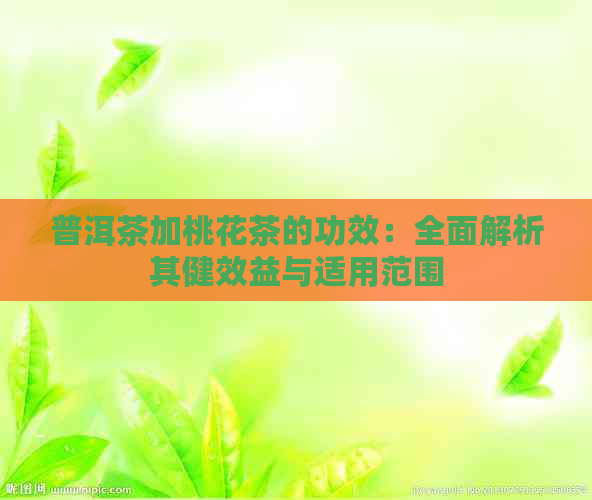 普洱茶加桃花茶的功效：全面解析其健效益与适用范围