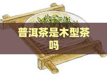 普洱茶是木型茶吗