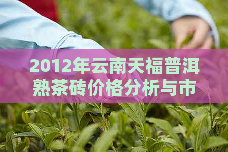 2012年云南天福普洱熟茶砖价格分析与市场趋势探讨