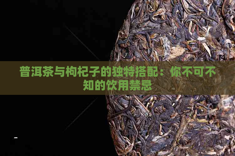 普洱茶与枸杞子的独特搭配：你不可不知的饮用禁忌