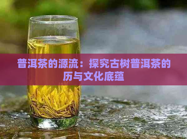 普洱茶的源流：探究古树普洱茶的历与文化底蕴