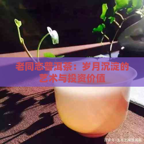 老同志普洱茶：岁月沉淀的艺术与投资价值