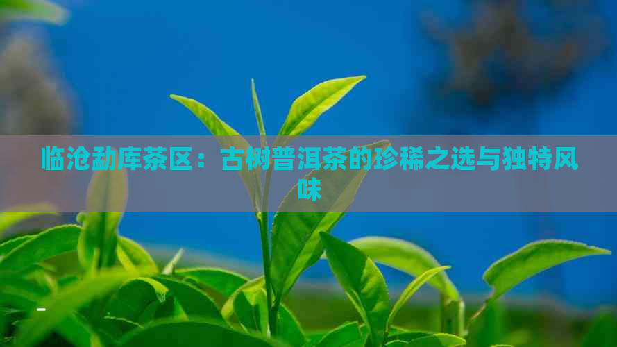 临沧勐库茶区：古树普洱茶的珍稀之选与独特风味