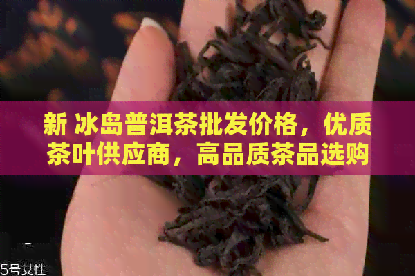 新 冰岛普洱茶批发价格，优质茶叶供应商，高品质茶品选购