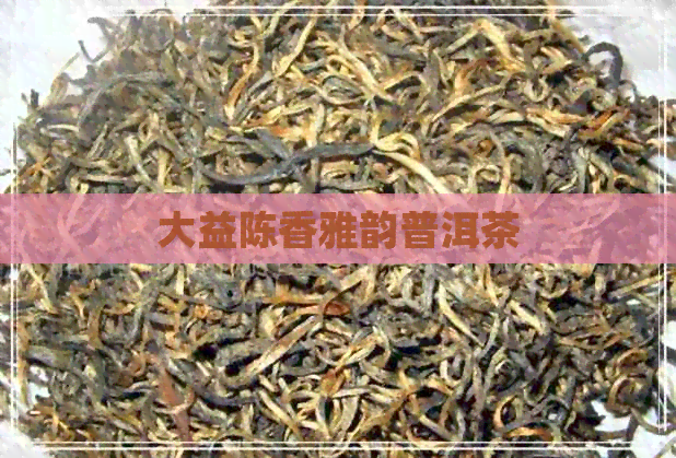 大益陈香雅韵普洱茶