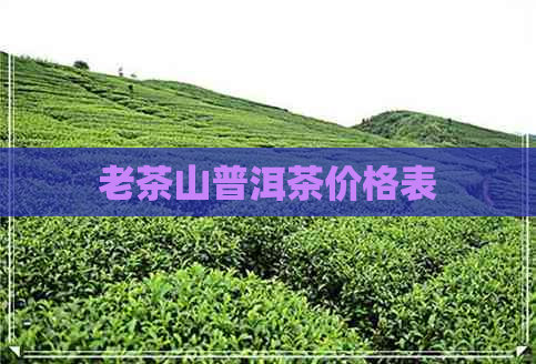 老茶山普洱茶价格表