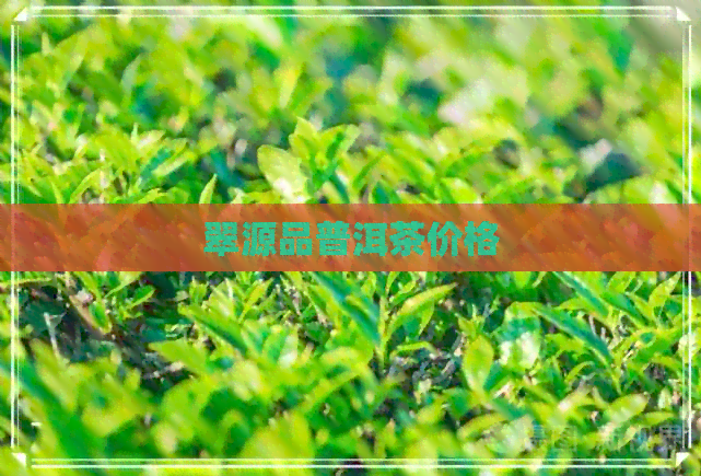 翠源品普洱茶价格