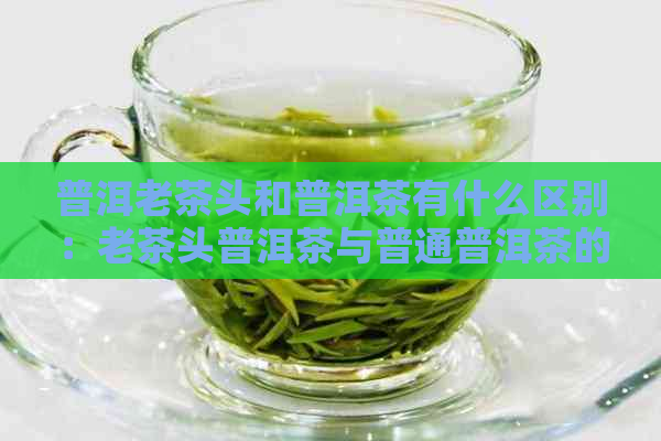 普洱老茶头和普洱茶有什么区别：老茶头普洱茶与普通普洱茶的区别