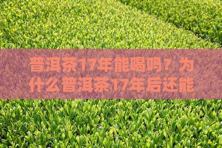 普洱茶17年能喝吗？为什么普洱茶17年后还能喝，是否有？