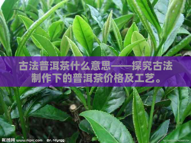 古法普洱茶什么意思——探究古法制作下的普洱茶价格及工艺。