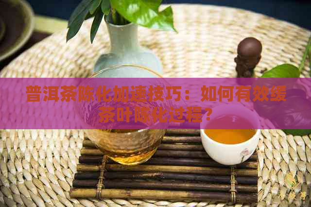 普洱茶陈化加速技巧：如何有效缓茶叶陈化过程？