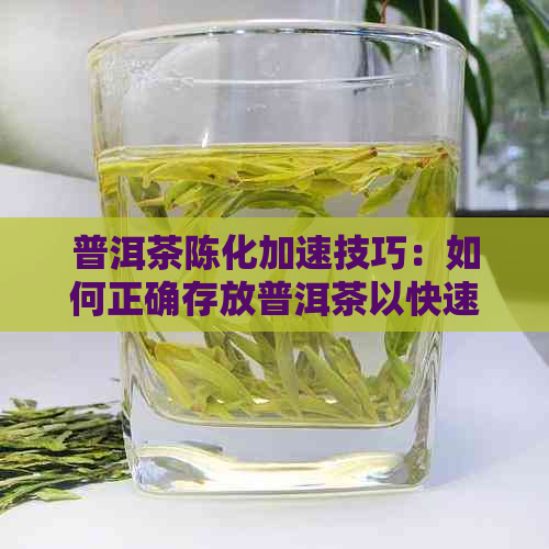 普洱茶陈化加速技巧：如何正确存放普洱茶以快速陈化？