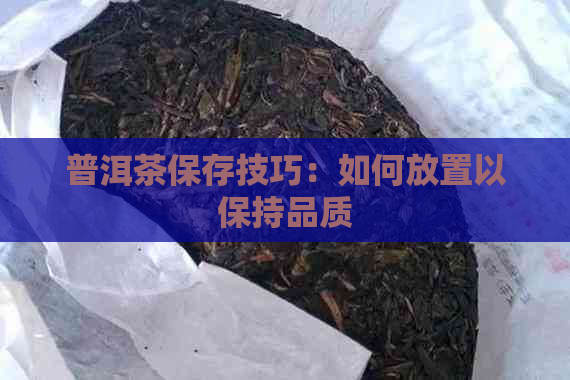 普洱茶保存技巧：如何放置以保持品质