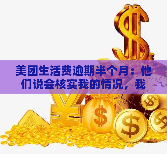 美团生活费逾期半个月：他们说会核实我的情况，我该怎么办？