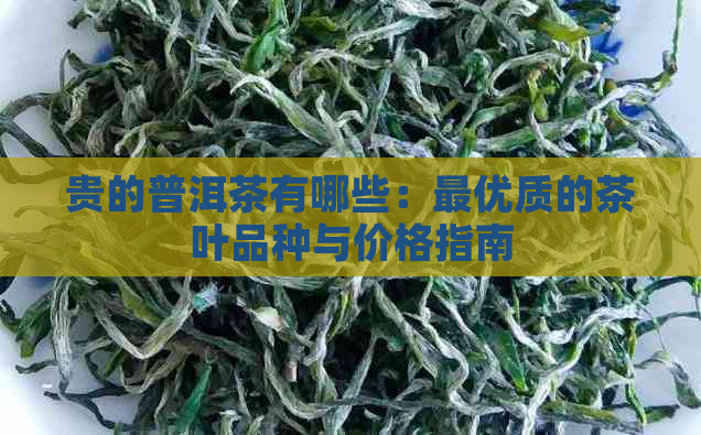 贵的普洱茶有哪些：更优质的茶叶品种与价格指南