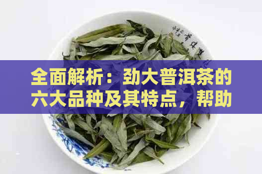 全面解析：劲大普洱茶的六大品种及其特点，帮助你轻松选购！