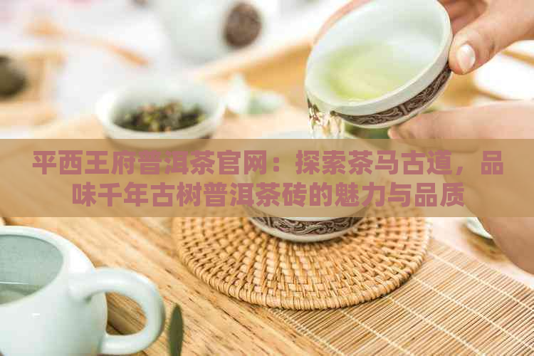 平西王府普洱茶官网：探索茶马古道，品味千年古树普洱茶砖的魅力与品质