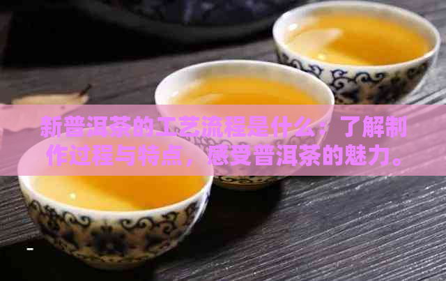 新普洱茶的工艺流程是什么：了解制作过程与特点，感受普洱茶的魅力。