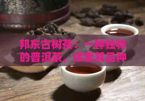 邦东古树茶：一种独特的普洱茶，探索其品种、制作工艺及口感特性