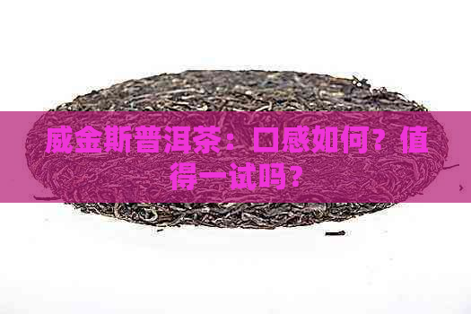 威金斯普洱茶：口感如何？值得一试吗？