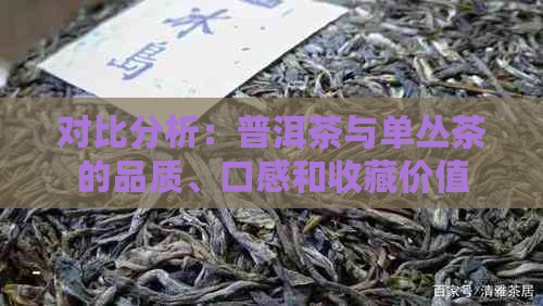 对比分析：普洱茶与单丛茶的品质、口感和收藏价值