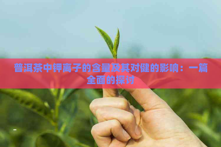 普洱茶中钾离子的含量及其对健的影响：一篇全面的探讨