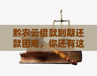 黔农云借款到期还款困难，你还有这些应对策略！