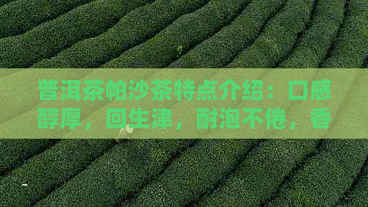 普洱茶帕沙茶特点介绍：口感醇厚，回生津，耐泡不倦，香气独特。