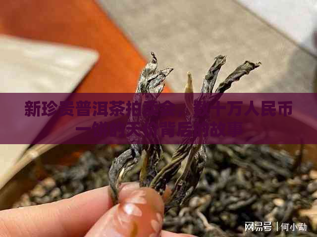 新珍贵普洱茶拍卖会，数十万人民币一饼的天价背后的故事