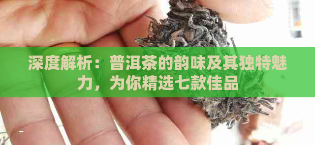 深度解析：普洱茶的韵味及其独特魅力，为你精选七款佳品