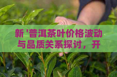 新 '普洱茶叶价格波动与品质关系探讨，开茶园解析'