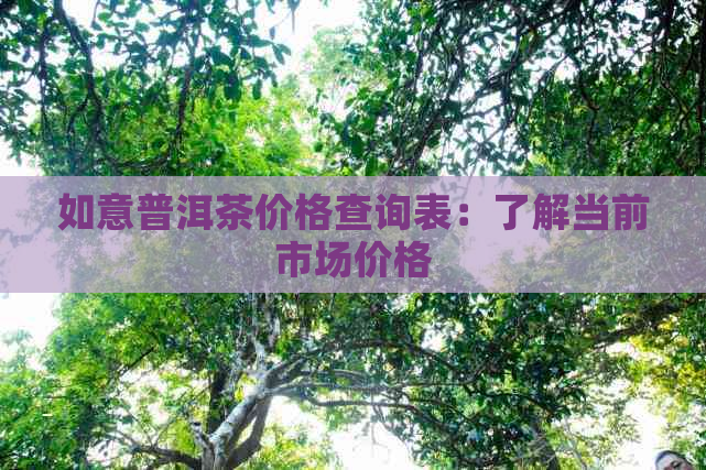 如意普洱茶价格查询表：了解当前市场价格