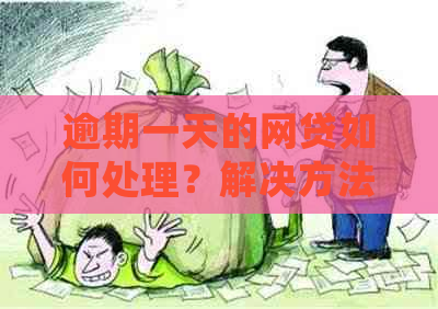 逾期一天的网贷如何处理？解决方法全面解析，确保及时还款不再担心！